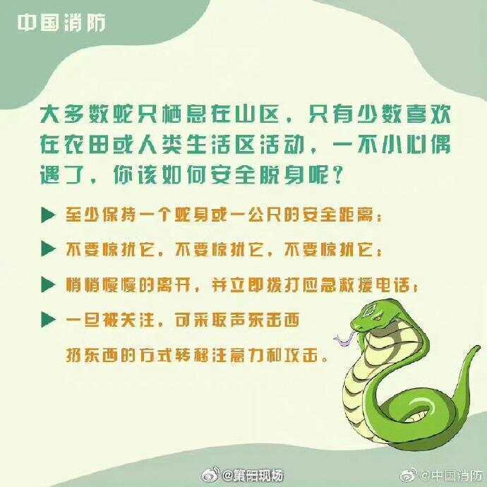 廣東上演現(xiàn)實(shí)版貪吃蛇！汕尾驚現(xiàn)20斤大蟒蛇生吞牛犢；不幸遇到蛇怎么辦，快來看看這份手冊(cè)
