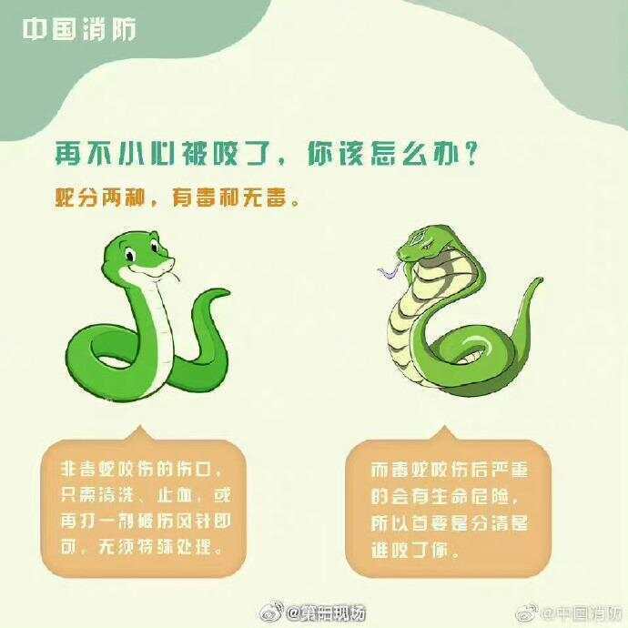 廣東上演現(xiàn)實(shí)版貪吃蛇！汕尾驚現(xiàn)20斤大蟒蛇生吞牛犢；不幸遇到蛇怎么辦，快來看看這份手冊(cè)