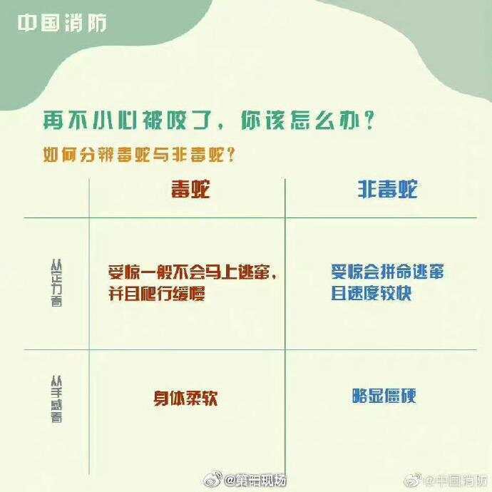 廣東上演現(xiàn)實(shí)版貪吃蛇！汕尾驚現(xiàn)20斤大蟒蛇生吞牛犢；不幸遇到蛇怎么辦，快來看看這份手冊(cè)