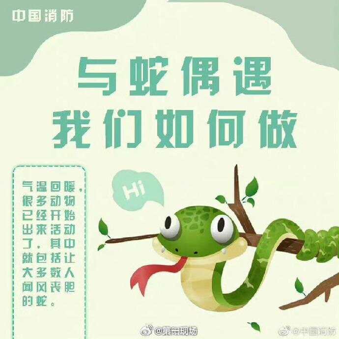 廣東上演現(xiàn)實(shí)版貪吃蛇！汕尾驚現(xiàn)20斤大蟒蛇生吞牛犢；不幸遇到蛇怎么辦，快來看看這份手冊(cè)