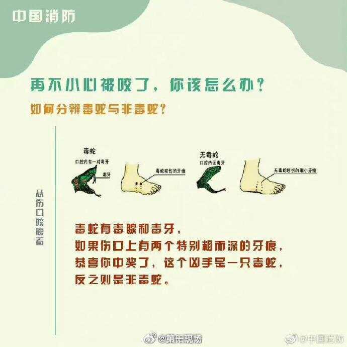 廣東上演現(xiàn)實(shí)版貪吃蛇！汕尾驚現(xiàn)20斤大蟒蛇生吞牛犢；不幸遇到蛇怎么辦，快來看看這份手冊(cè)