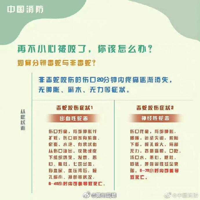 廣東上演現(xiàn)實(shí)版貪吃蛇！汕尾驚現(xiàn)20斤大蟒蛇生吞牛犢；不幸遇到蛇怎么辦，快來看看這份手冊(cè)