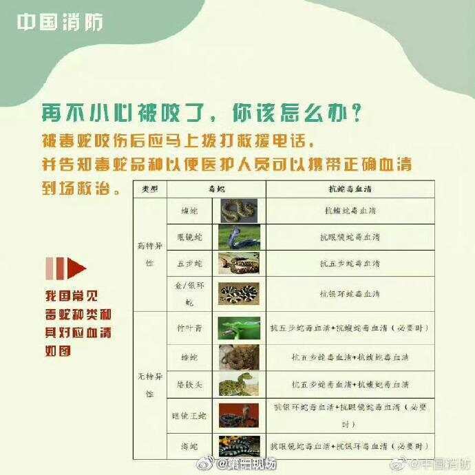 廣東上演現(xiàn)實(shí)版貪吃蛇！汕尾驚現(xiàn)20斤大蟒蛇生吞牛犢；不幸遇到蛇怎么辦，快來看看這份手冊(cè)