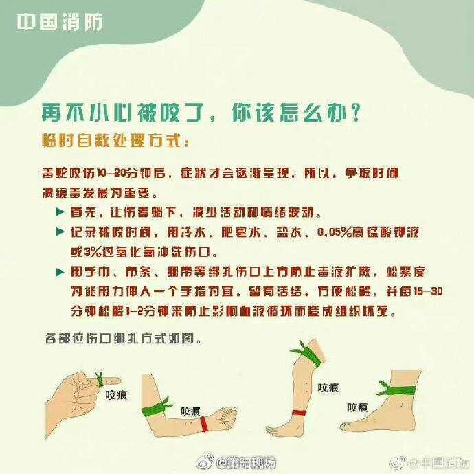 廣東上演現(xiàn)實(shí)版貪吃蛇！汕尾驚現(xiàn)20斤大蟒蛇生吞牛犢；不幸遇到蛇怎么辦，快來看看這份手冊(cè)